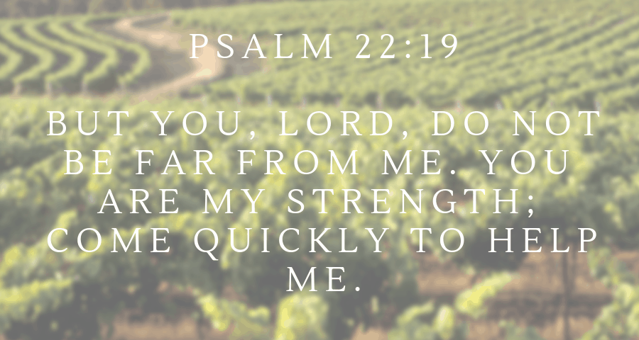 But you, Lord, do not be far from me. You are my strength; come quickly to help me.