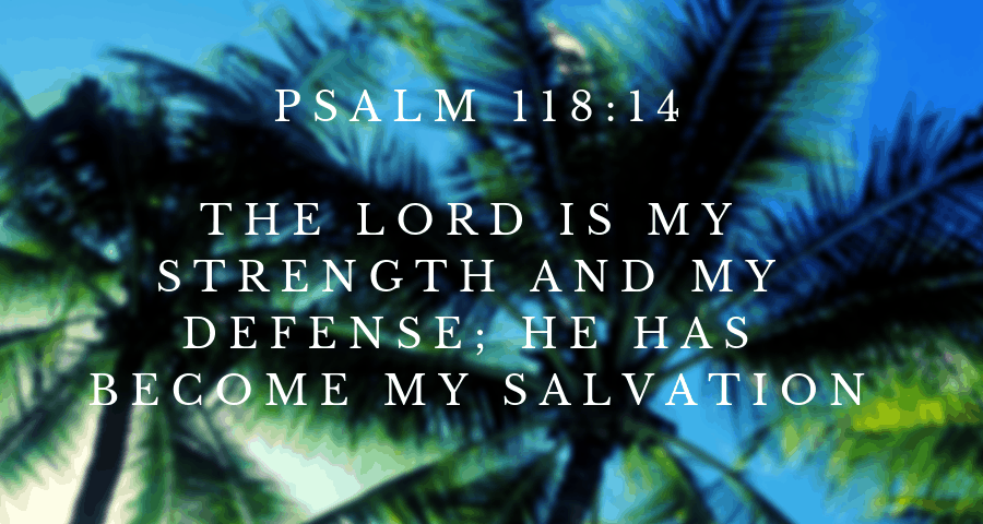 The LORD is my strength and my defense; he has become my salvation. He is my God, and I will praise him, my father’s God, and I will exalt him. The LORD is a warrior; the LORD is his name