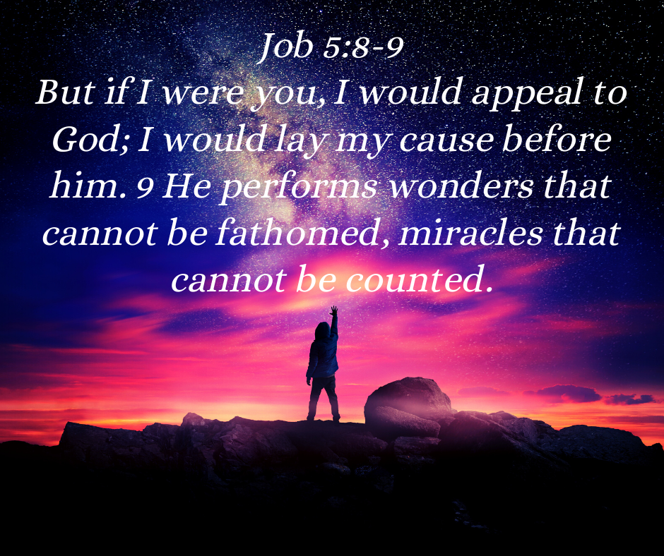 But if I were you, I would appeal to God I would lay my cause before him. 9 He performs wonders that cannot be fathomed, miracles that cannot be counte