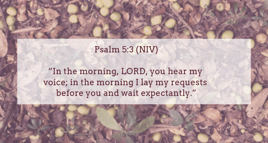 Na manhã, Senhor, tu ouves a minha voz na manhã em que eu ponho os meus pedidos diante de Ti e espero com expectativa