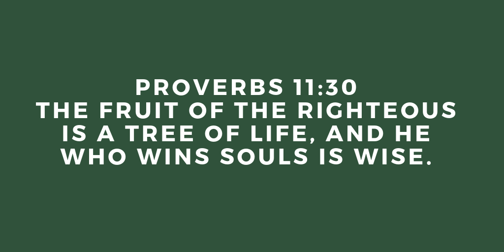 The fruit of the righteous is a tree of life and he who wins souls is wise