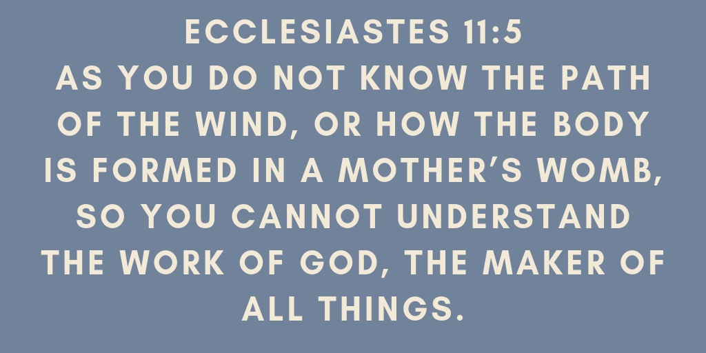 Ecclesiastes 11-5 As you do not know the path of the wind, or how the body is formed in a mothers womb, so you cannot understand the work of God, the Maker of all things